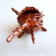 Forgotten offering shell 