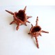 Forgotten offering shell ceramic vessel L