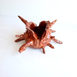 Forgotten offering shell ceramic vessel L