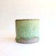 Ivy forest ceramic shots