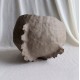 Hatched Dragon Egg κεραμικό δοχείο Hatched Dragon Egg κεραμικό δοχείο