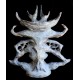 Skeletal structure Skeletal structure