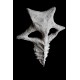 Chaos Alien Dagger I επιτοίχιο κεραμικό γλυπτό Chaos Alien Dagger I επιτοίχιο κεραμικό γλυπτό