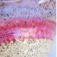 Dragonfruit κεραμικό μπολ Dragonfruit κεραμικό μπολ