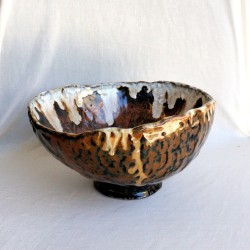 Petrified Tree Vessel Petrified Tree Vessel