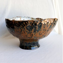 Petrified Tree Vessel Petrified Tree Vessel