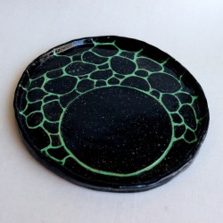 Reptile carvings κεραμικό πιάτο Reptile carvings κεραμικό πιάτο