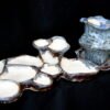 Fungi palette κεραμική παλέτα
